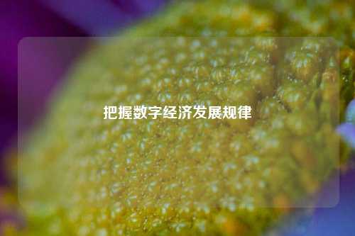 把握数字经济发展规律 经济 数字经济 行业新闻 第1张
