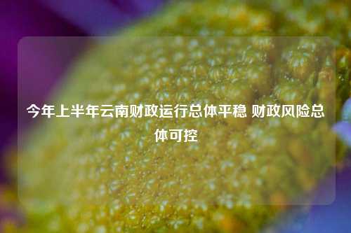 今年上半年云南财政运行总体平稳 财政风险总体可控 经济 宏观经济 国内宏观 行业新闻 第1张