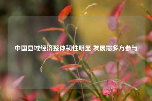 中国县域经济整体韧性明显 发展需多方参与 经济 国内宏观 县域经济 行业新闻 第1张