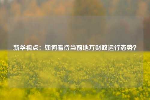 新华视点：如何看待当前地方财政运行态势？ 宏观经济 国内宏观 地方财政 行业新闻 第1张