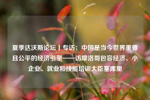 夏季达沃斯论坛丨专访：中国是当今世界重要且公平的经济引擎——访摩洛哥包容经济、小企业、就业和技能培训大臣塞库里 经济 行业新闻 第1张