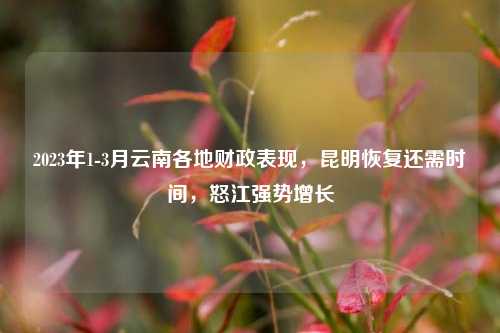 2023年1 3月云南各地财政表现，昆明恢复还需时间，怒江强势增长 宏观经济 怒江 国内宏观 行业新闻 第1张