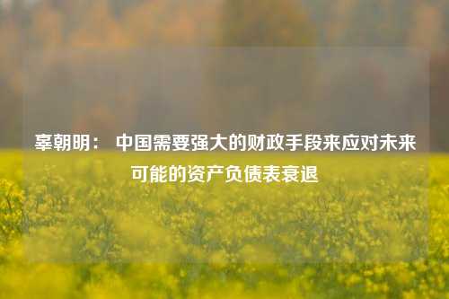 辜朝明： 中国需要强大的财政手段来应对未来可能的资产负债表衰退 企业经济 经济泡沫 资产负债表 行业新闻 第1张