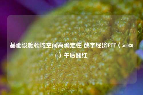 基础设施领域空间高确定性 数字经济ETF（560800）午后翻红 经济 人工智能 数字经济 行业新闻 第1张