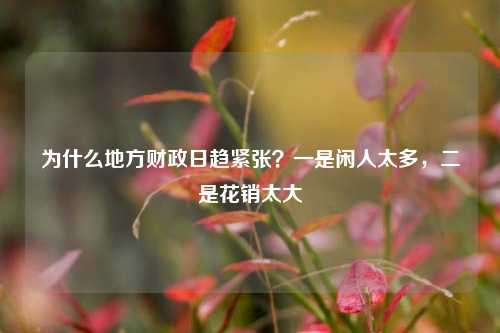 为什么地方财政日趋紧张？一是闲人太多，二是花销太大 宏观经济 国内宏观 地方财政 行业新闻 第1张
