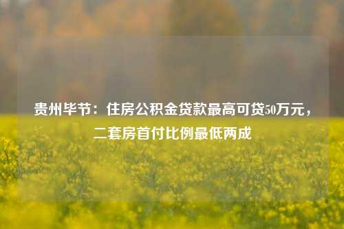 贵州毕节：住房公积金贷款最高可贷50万元，二套房首付比例最低两成 首付 住房公积金贷款 二套房 行业新闻 第1张