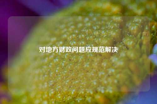 对地方财政问题应规范解决 地方财政 行业新闻 第1张