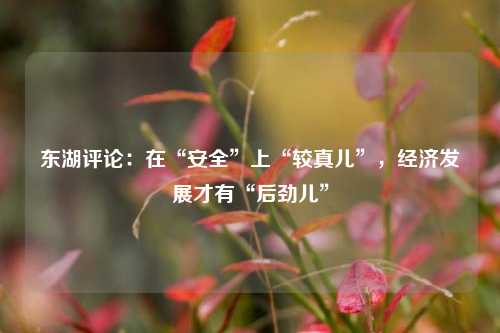 东湖评论：在“安全”上“较真儿”，经济发展才有“后劲儿” 时政 安全生产 行业新闻 第1张
