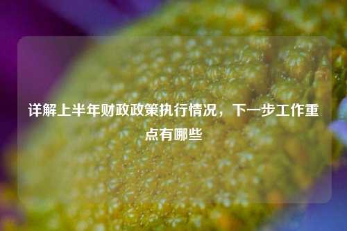 详解上半年财政政策执行情况，下一步工作重点有哪些 预算 宏观经济 国内宏观 行业新闻 第1张