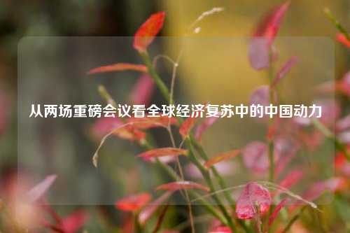 从两场重磅会议看全球经济复苏中的中国动力 国外宏观 经济 中国动力 行业新闻 第1张