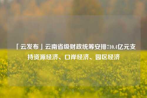 「云发布」云南省级财政统筹安排710.4亿元支持资源经济、口岸经济、园区经济 云南发展 国内宏观 经济 行业新闻 第1张