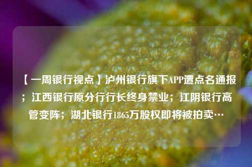 【一周银行视点】泸州银行旗下APP遭点名通报；江西银行原分行行长终身禁业；江阴银行高管变阵；湖北银行1865万股权即将被拍卖… 金融债券 金融 银行 行业新闻 第1张