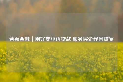 普惠金融｜用好支小再贷款 服务民企纾困恢复 国内宏观 再贷款 金融 行业新闻 第1张