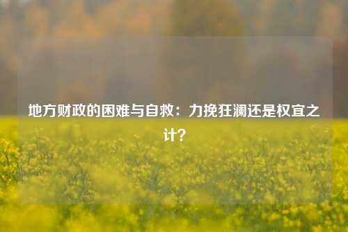 地方财政的困难与自救：力挽狂澜还是权宜之计？ 国内宏观 税收原则 地方财政 行业新闻 第1张