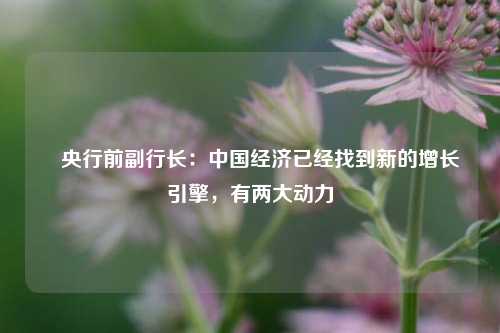 ​央行前副行长：中国经济已经找到新的增长引擎，有两大动力 朱民 经济 行业新闻 第1张