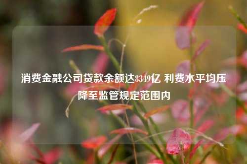 消费金融公司贷款余额达8349亿 利费水平均压降至监管规定范围内 金融 消费金融公司 贷款余额 行业新闻 第1张