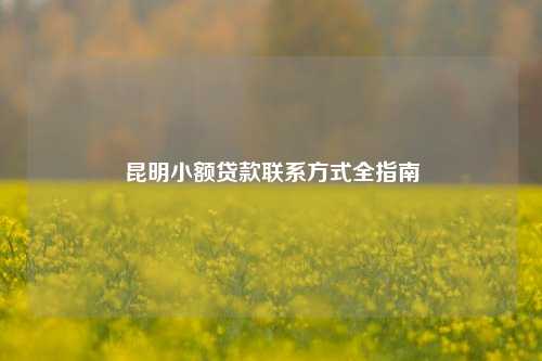 昆明小额贷款联系方式全指南 农村信用社 民间借贷 第1张