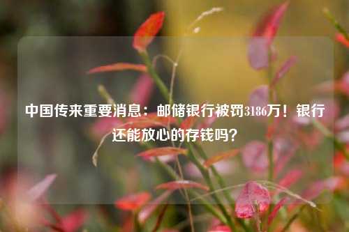 中国传来重要消息：邮储银行被罚3186万！银行还能放心的存钱吗？ 利息 邮储银行 银行 行业新闻 第1张