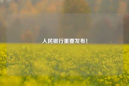 人民银行重要发布！ 银行 央行 中国人民银行 行业新闻 第1张