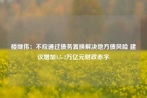 楼继伟：不应通过债务置换解决地方债风险 建议增加1.5 2万亿元财政赤字 地方债 债务置换 财政赤字 行业新闻 第1张