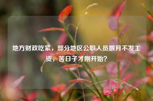 地方财政吃紧，部分地区公职人员数月不发工资，苦日子才刚开始？ 地方财政 公职人员 公务员 行业新闻 第1张