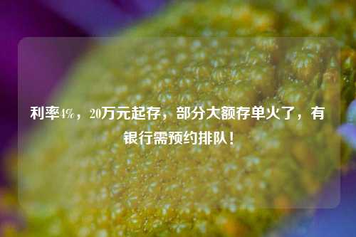 利率4%，20万元起存，部分大额存单火了，有银行需预约排队！ 大额存单利率 存款利率 银行 行业新闻 第1张