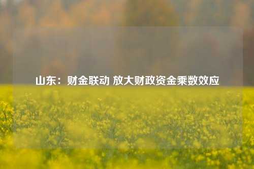 山东：财金联动 放大财政资金乘数效应 供应链金融 乘数效应 行业新闻 第1张