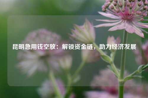 昆明急用钱空放：解锁资金链，助力经济发展 银行贷款 经济 资金链 昆明急用钱 第1张