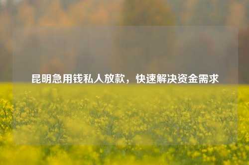 昆明急用钱私人放款，快速解决资金需求 私借空放 第1张
