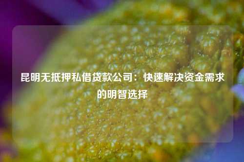 昆明无抵押私借贷款公司：快速解决资金需求的明智选择 昆明 抵押合同 快速贷 私人借款 第1张
