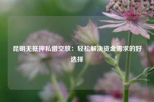 昆明无抵押私借空放：轻松解决资金需求的好选择 利率 个人借钱 第1张