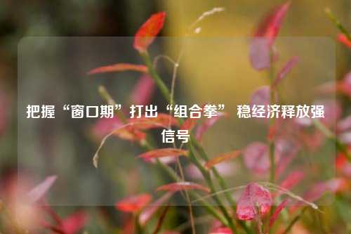 把握“窗口期”打出“组合拳” 稳经济释放强信号 宏观经济 国内宏观 经济 行业新闻 第1张