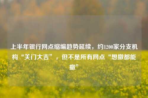 上半年银行网点缩编趋势延续，约1200家分支机构“关门大吉”，但不是所有网点“想撤都能撤” 金融 银行网点 银行 行业新闻 第1张