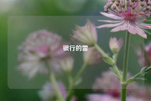 银行的雷 银行 招商银行理财产品 招行 行业新闻 第1张