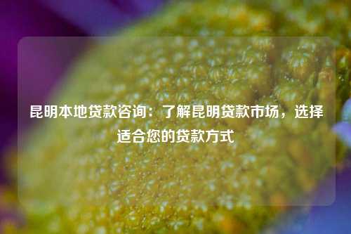 昆明本地贷款咨询：了解昆明贷款市场，选择适合您的贷款方式 消费贷款 贷款 昆明 昆明急用钱 第1张