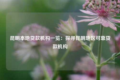 昆明本地贷款机构一览：探寻昆明地区可靠贷款机构 金融 昆明急用钱 第1张