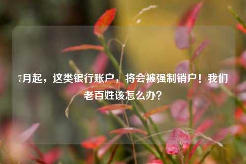 7月起，这类银行账户，将会被强制销户！我们老百姓该怎么办？ 银行 行业新闻 第1张