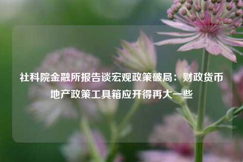 社科院金融所报告谈宏观政策破局：财政货币地产政策工具箱应开得再大一些 宏观经济 国内宏观 cpi 行业新闻 第1张