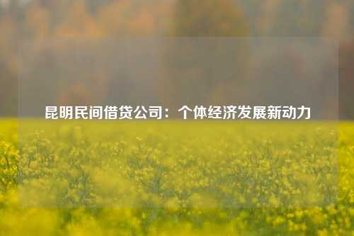 昆明民间借贷公司：个体经济发展新动力 经济 民间借贷 民间借贷 第1张