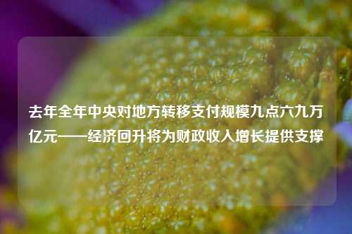 去年全年中央对地方转移支付规模九点六九万亿元——经济回升将为财政收入增长提供支撑 国内宏观 预算执行 转移支付 行业新闻 第1张