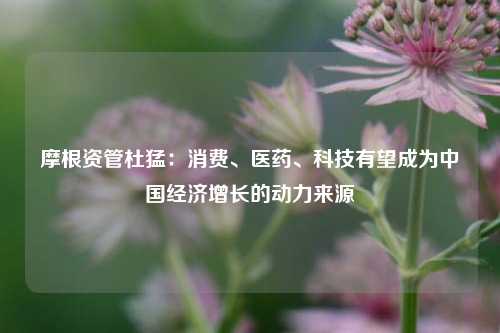 摩根资管杜猛：消费、医药、科技有望成为中国经济增长的动力来源 经济增长 杜猛 投资 行业新闻 第1张