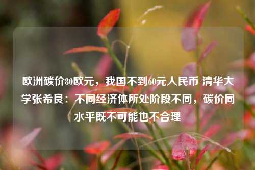 欧洲碳价80欧元，我国不到60元人民币 清华大学张希良：不同经济体所处阶段不同，碳价同水平既不可能也不合理 经济学 经济 碳排放 行业新闻 第1张