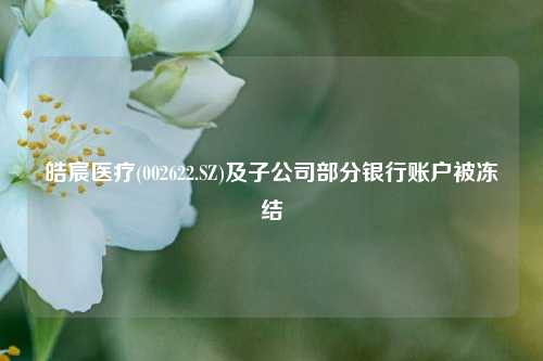 皓宸医疗(002622.SZ)及子公司部分银行账户被冻结 医疗 股票 银行 行业新闻 第1张