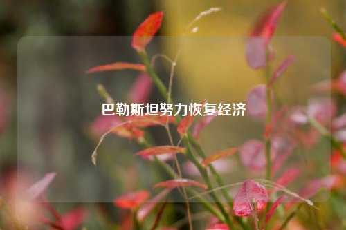 巴勒斯坦努力恢复经济 宏观经济 国外宏观 经济 行业新闻 第1张