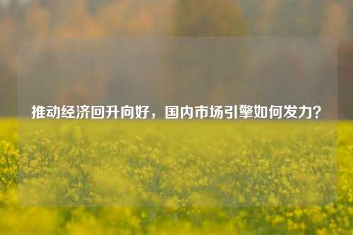 推动经济回升向好，国内市场引擎如何发力？ 经济学 国内经济 经济 行业新闻 第1张
