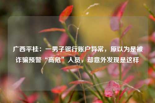 广西平桂：一男子银行账户异常，原以为是被诈骗预警“高危”人员，却意外发现是这样 网赌 法律 银行 行业新闻 第1张