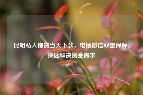 昆明私人借贷当天下款，电话微信双重保障，快速解决资金需求 金融 私借空放 第1张