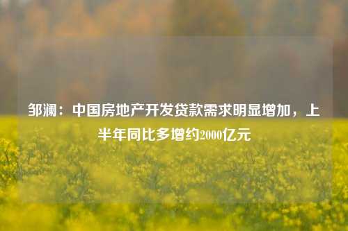 邹澜：中国房地产开发贷款需求明显增加，上半年同比多增约2000亿元 房地产业 贷款 房地产开发贷款 行业新闻 第1张