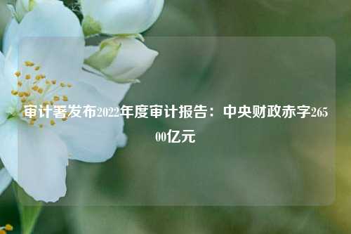 审计署发布2022年度审计报告：中央财政赤字26500亿元 年度报告 审计署 审计报告 行业新闻 第1张