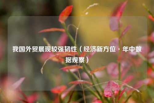 我国外贸展现较强韧性（经济新方位·年中数据观察） 宏观经济 国家经济 行业新闻 第1张